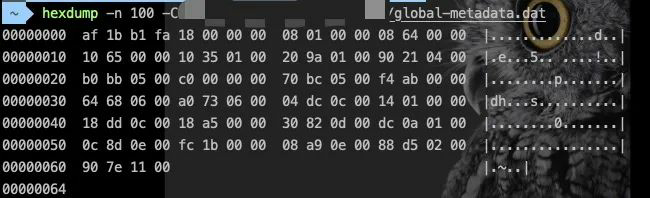 加密前 global-metadata.dat 文件